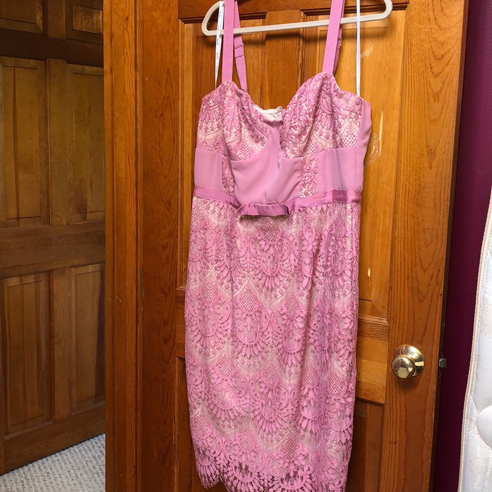 NWT Do I Make You Blush? Dress